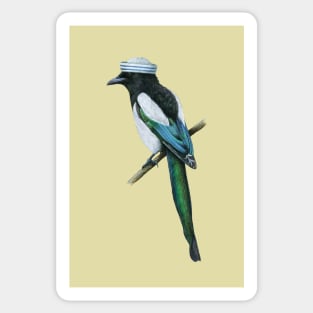 Eurasian magpie Sticker